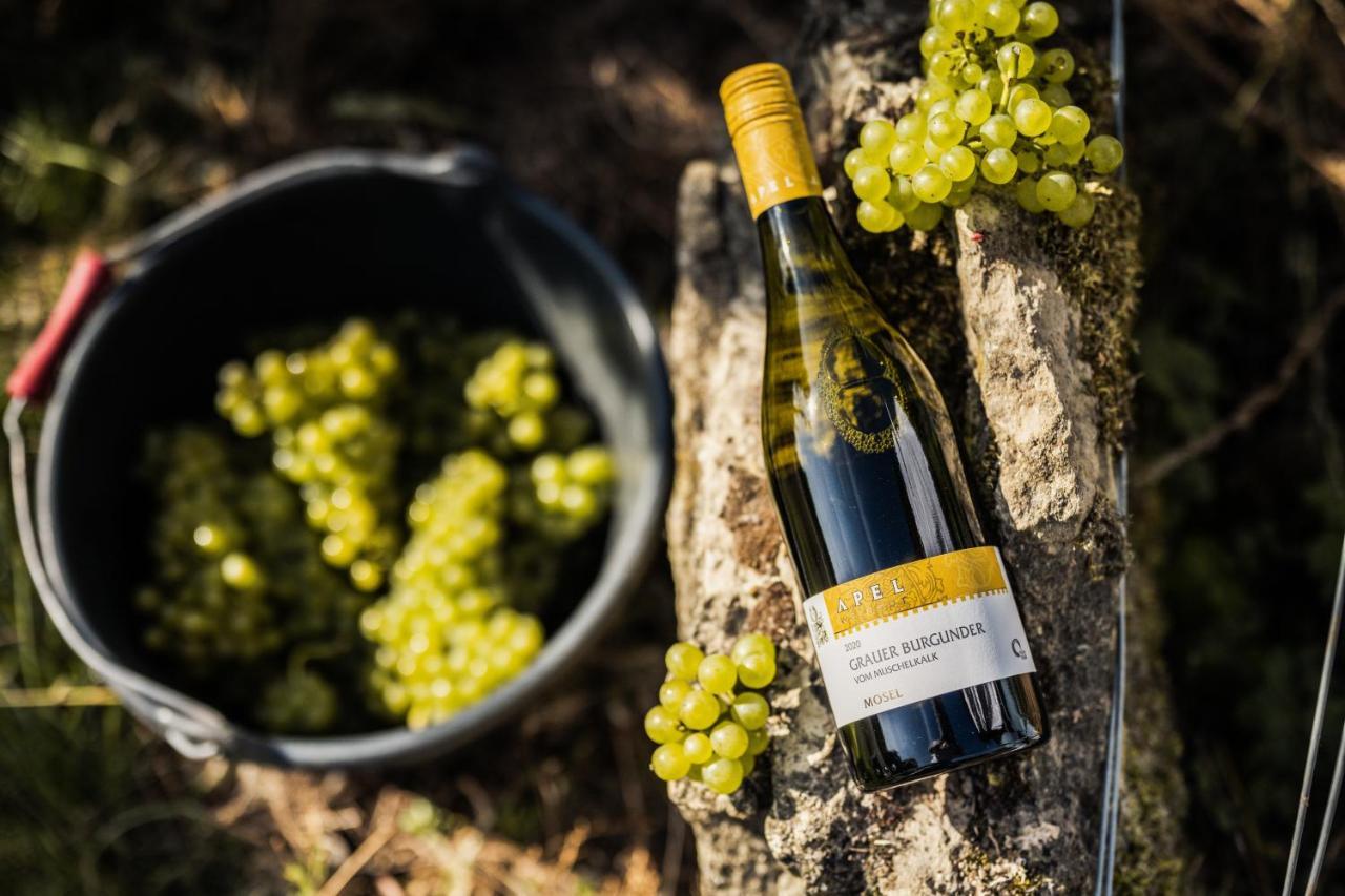 Weingut Und Gaestehaus Apel Nittel Luaran gambar