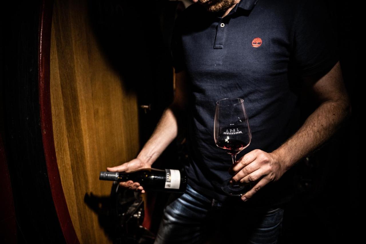 Weingut Und Gaestehaus Apel Nittel Luaran gambar