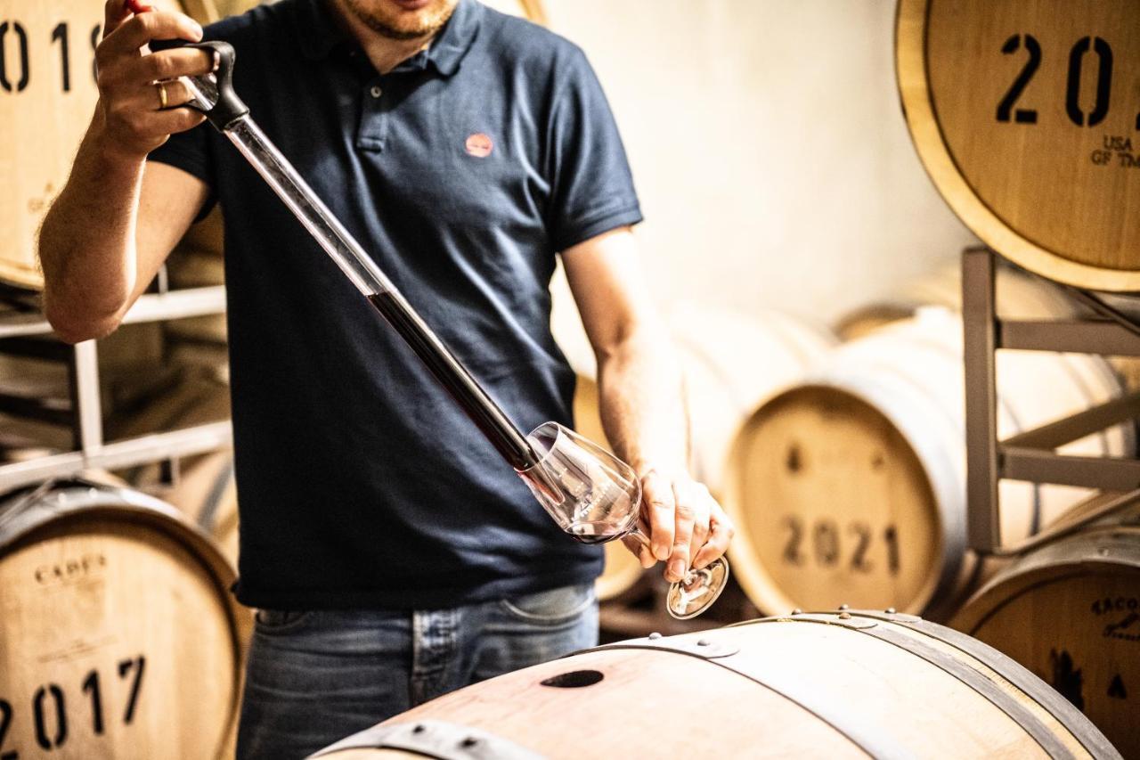 Weingut Und Gaestehaus Apel Nittel Luaran gambar