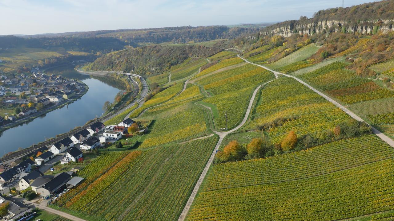 Weingut Und Gaestehaus Apel Nittel Luaran gambar